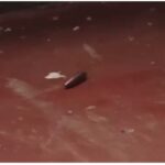 Wamatangi demands IG Kanja’s attention after bullet pierced neighbour’s roof