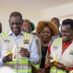 Government focused on solutions, not blame, says Ruto