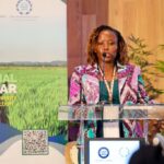 Household Air Pollution Claims 27,000 Lives Annually as Lawmakers Push for Clean Cooking Revolution