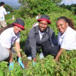 300 trees planted in an effort to restore Kenya’s ecological systems