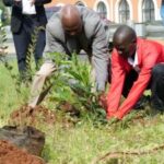 Nairobi City Marathon pairs air sensors with 5,000-tree legacy plan